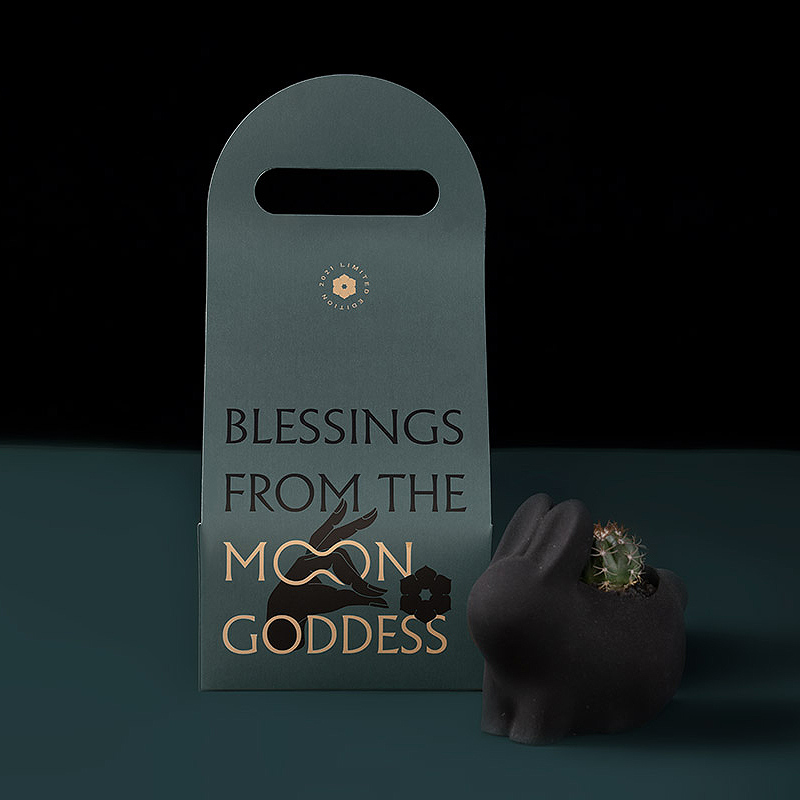 2021 年中秋植物禮盒 33 2021中秋節禮盒_有肉多肉植物_李亭香月餅_製所設計4