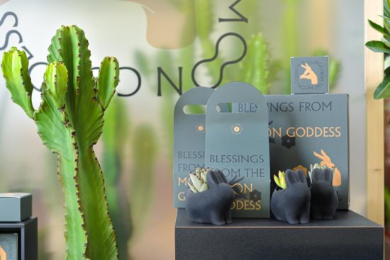 企業禮物超有梗 貼近自然還可客製化 2021 中秋節門市陳列攝影 有肉SUCCULAND7