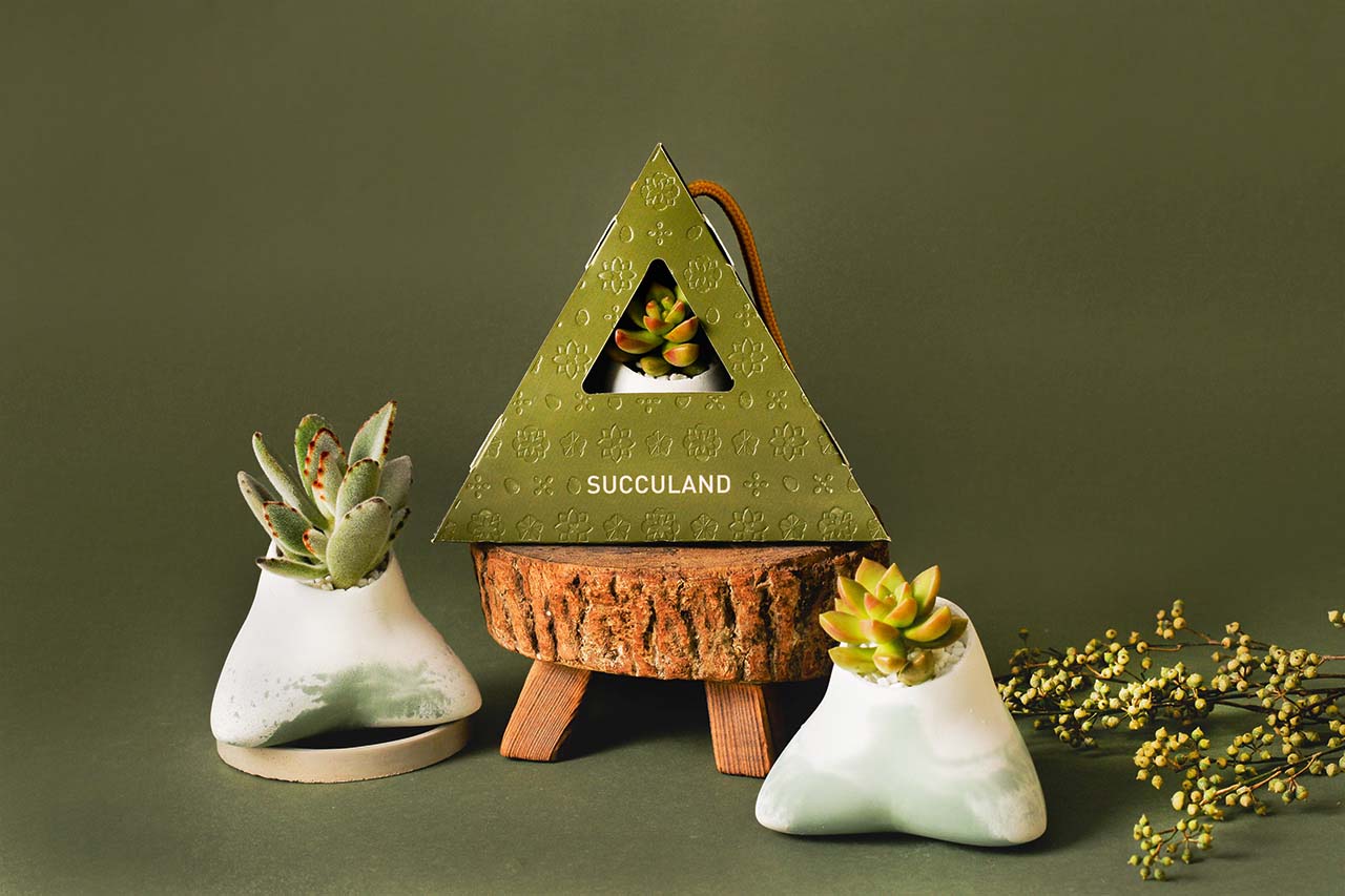 2021 年端午植物禮盒 14 2021 年端午植物禮盒 2021 有肉的端午節植物係禮盒_台灣設計製造1