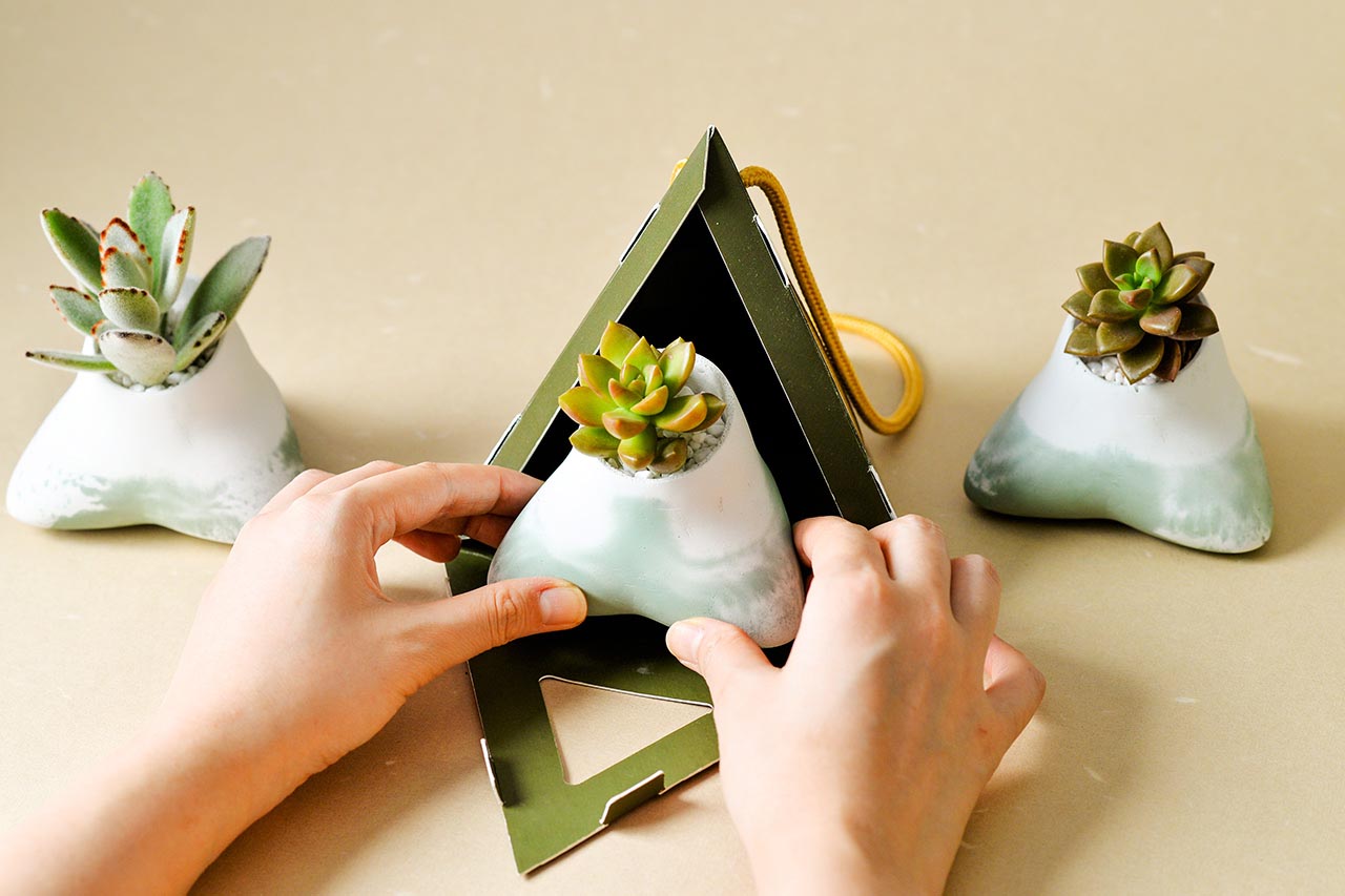 2021 年端午植物禮盒 15 2021 有肉的端午節植物係禮盒_台灣設計製造12