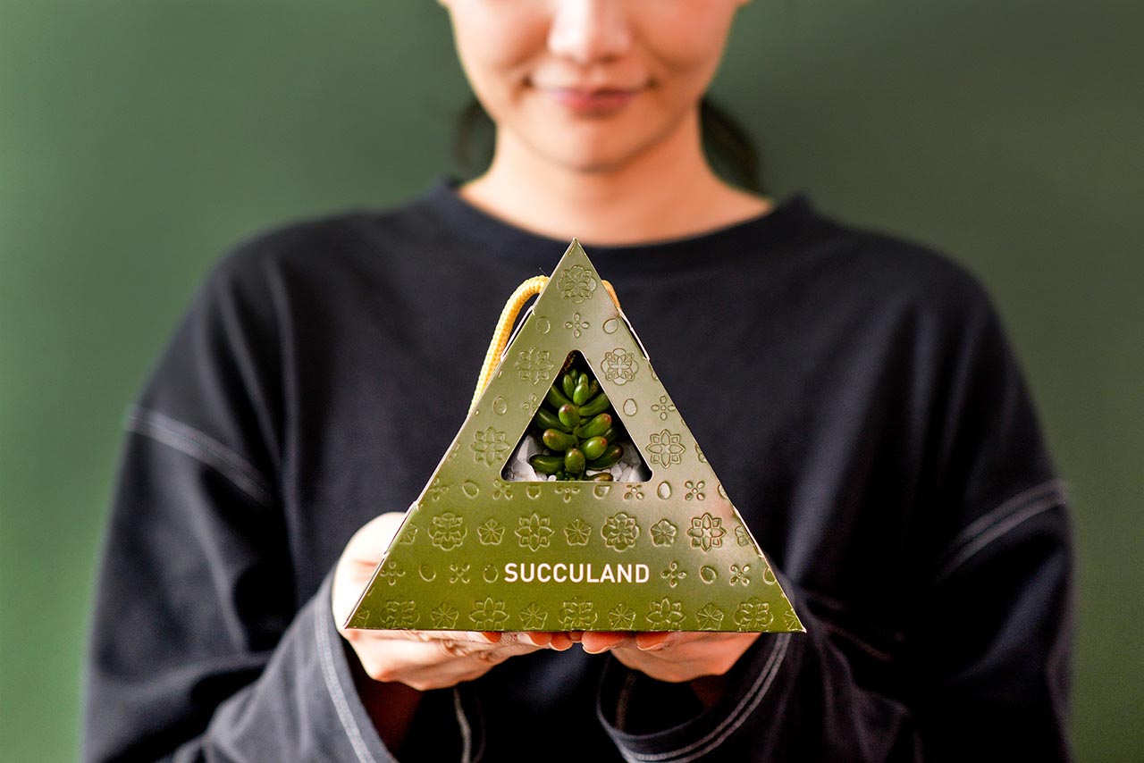 2021 年端午植物禮盒 11 2021 有肉的端午節植物係禮盒_台灣設計製造14