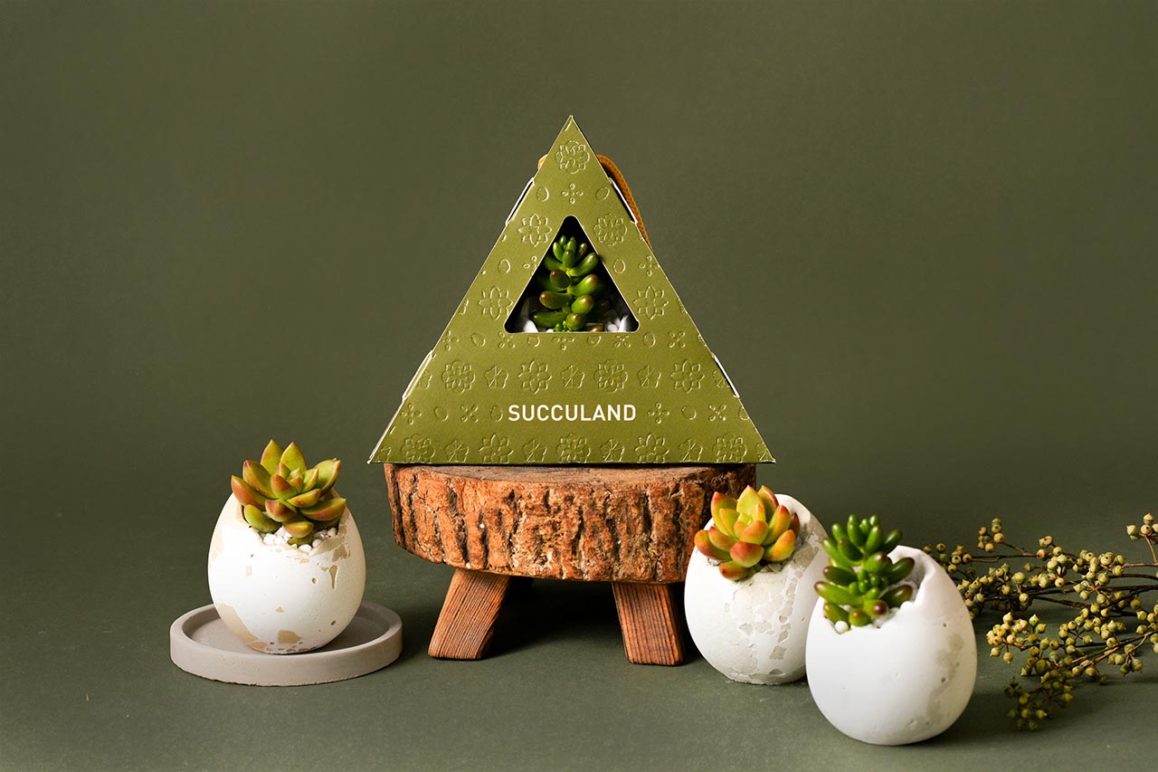 2021 年端午植物禮盒 12 2021 年端午植物禮盒 2021 有肉的端午節植物係禮盒_台灣設計製造5