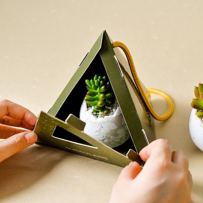 2021 有肉的端午節植物係禮盒_台灣設計製造7 2021 有肉的端午節植物係禮盒_台灣設計製造7