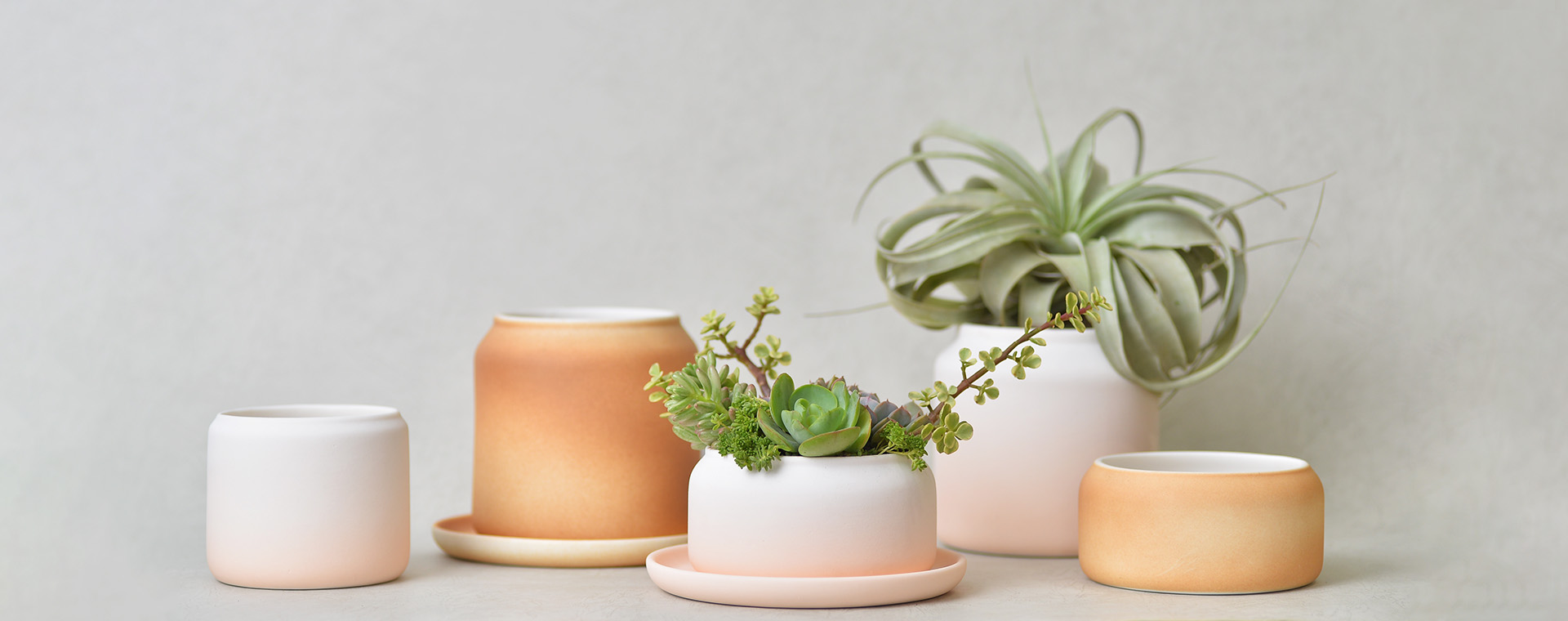 鳳梨盆栽的禮物感:台灣設計鳳梨盆 38 鳳梨盆栽的禮物感:台灣設計鳳梨盆 20211202 Of 之於 首圖