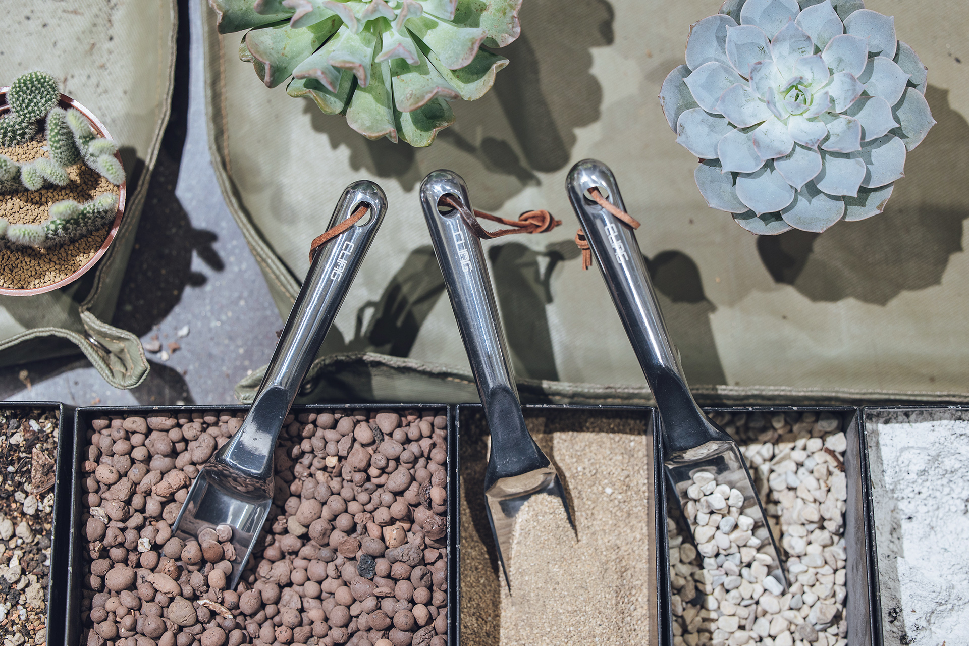 【完整教學】植物照顧終極指南 向黑手指說掰掰 7 【完整教學】植物照顧終極指南 向黑手指說掰掰 2022 有肉滿額贈 植琢工具園藝鏟子5