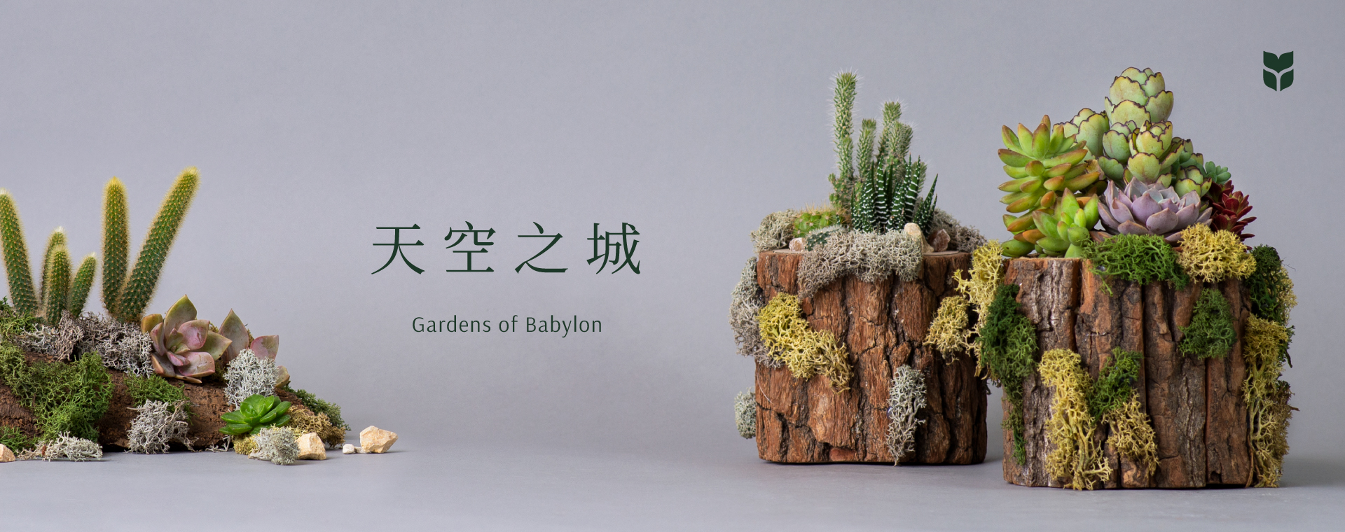 企業活動課程總覽 2022 天空之城企業活動banner