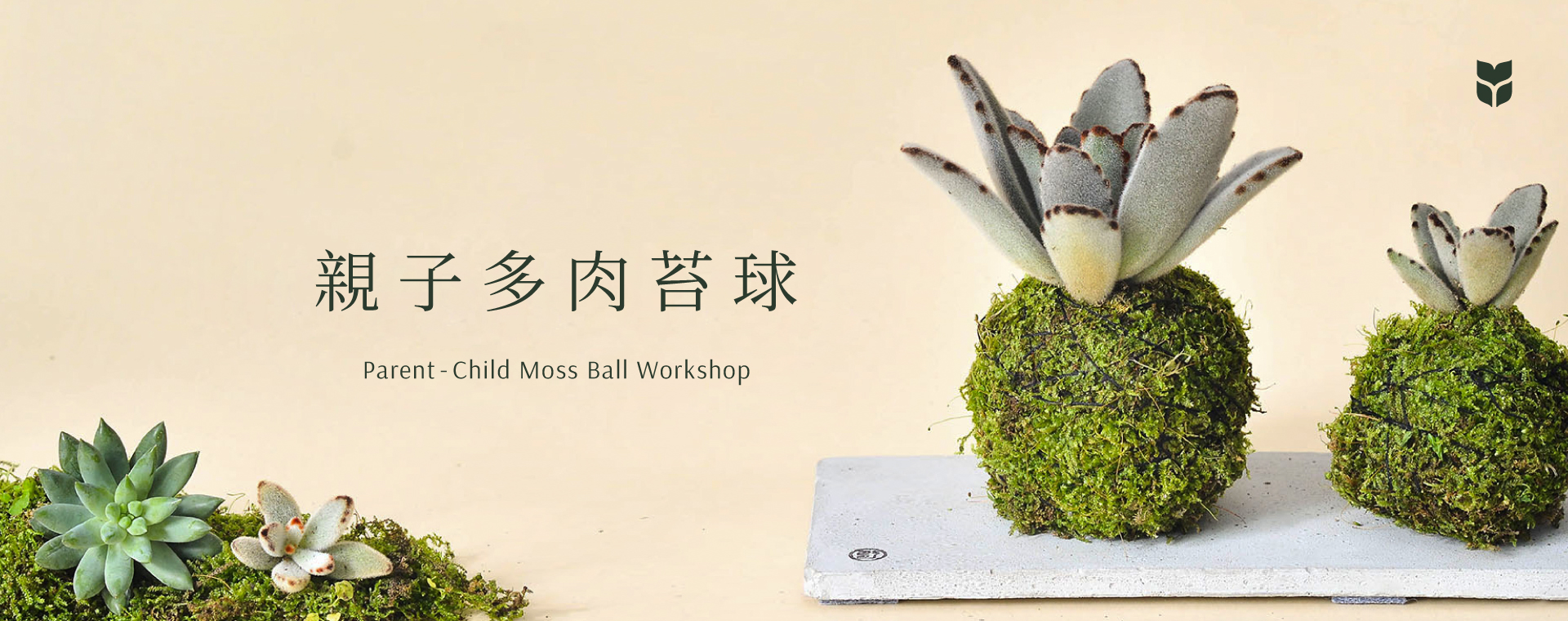 企業活動課程總覽 2022 親子多肉苔球＿首圖