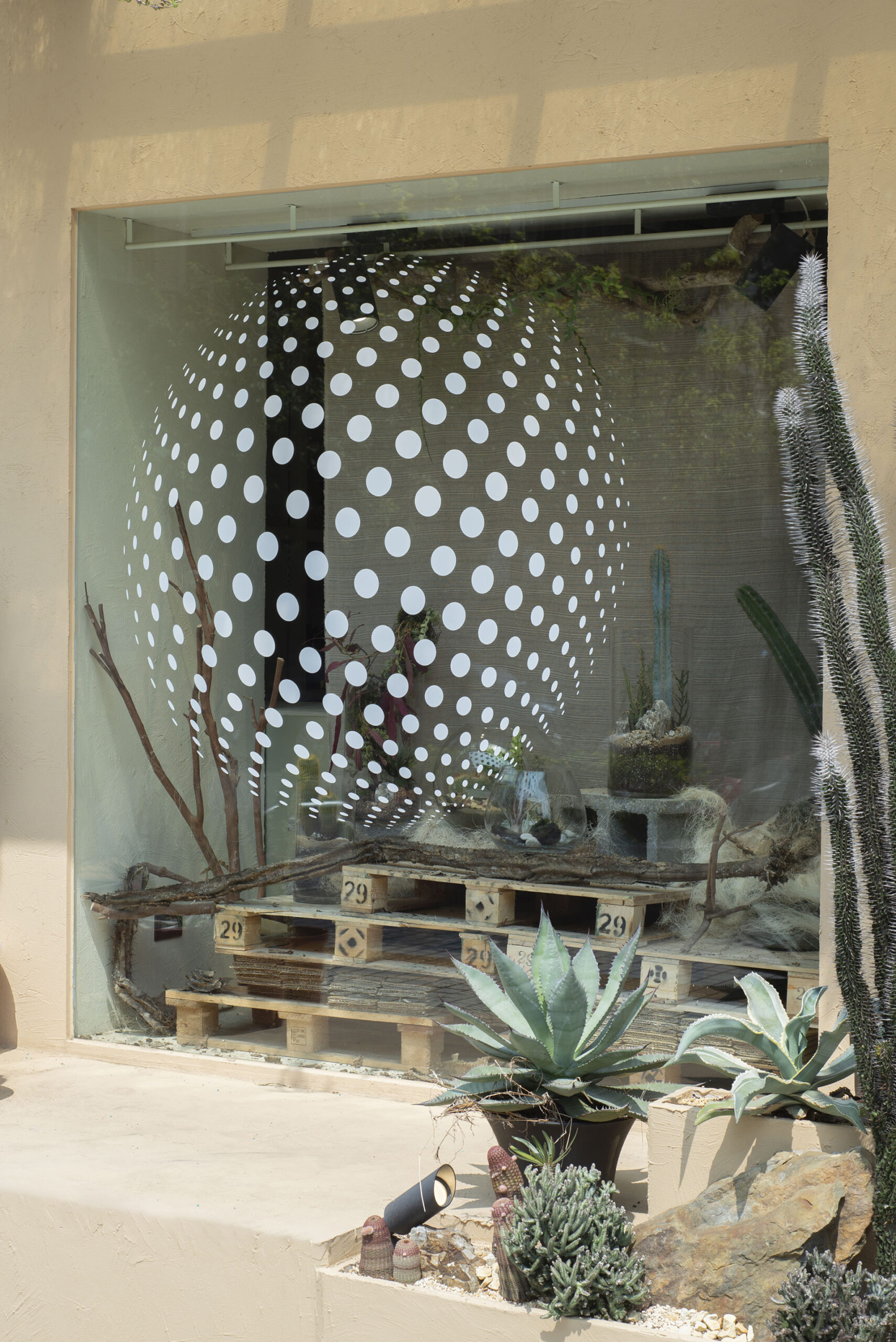 2023 世界地球日活動「愛護地球,從種植開始」 1 地球日活動視覺