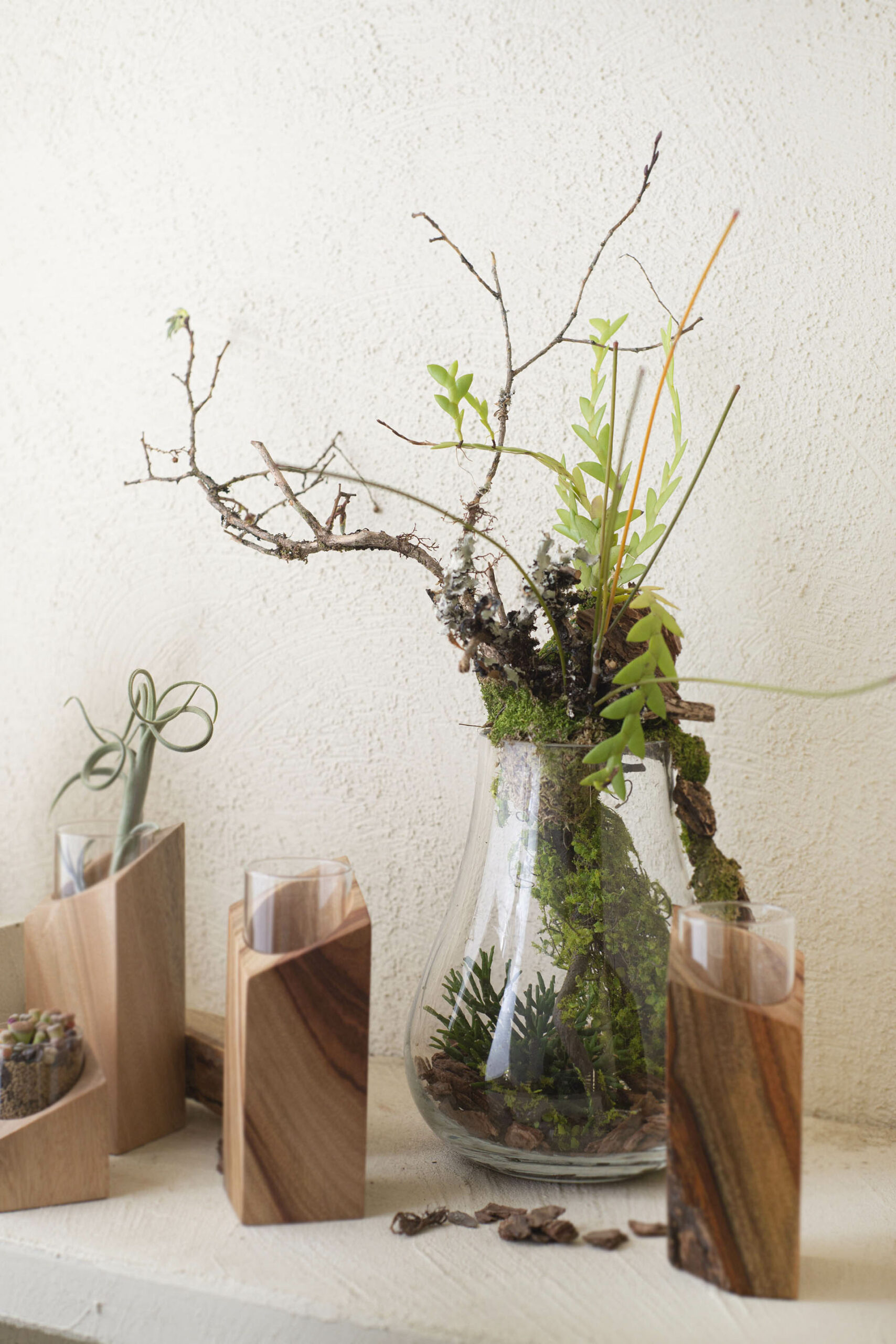 2023 世界地球日活動「愛護地球,從種植開始」 2 地球日種植活動