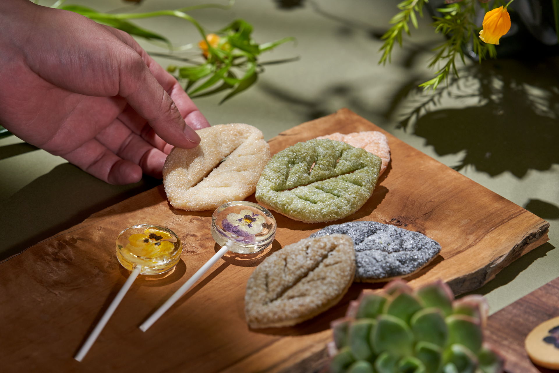 中秋過節也能感受永續自然!有肉 X 山木島,森林系中秋禮盒火熱預購中! 1 中秋過節也能感受永續自然!有肉 X 山木島,森林系中秋禮盒火熱預購中! 2023 有肉中秋節聯名禮盒_有餅乾有植物_企業訂製7