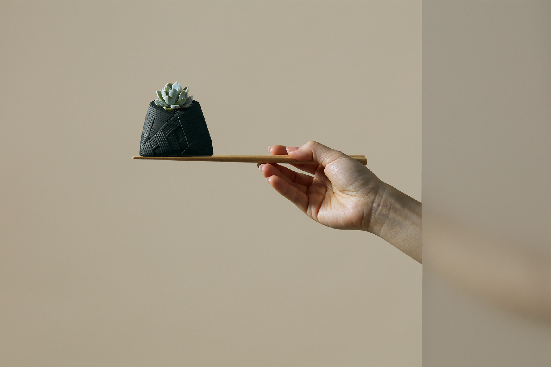 2023 有肉端午禮盒_粽久久_李亭香＿綜合台派糕點＿粽子多肉盆栽16