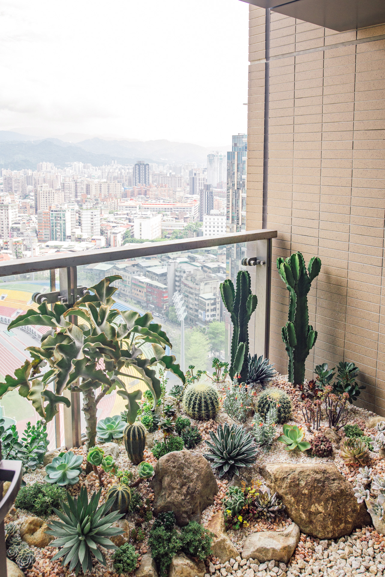 園藝造景推薦:陽台上的彩虹綠地 8 板橋園藝