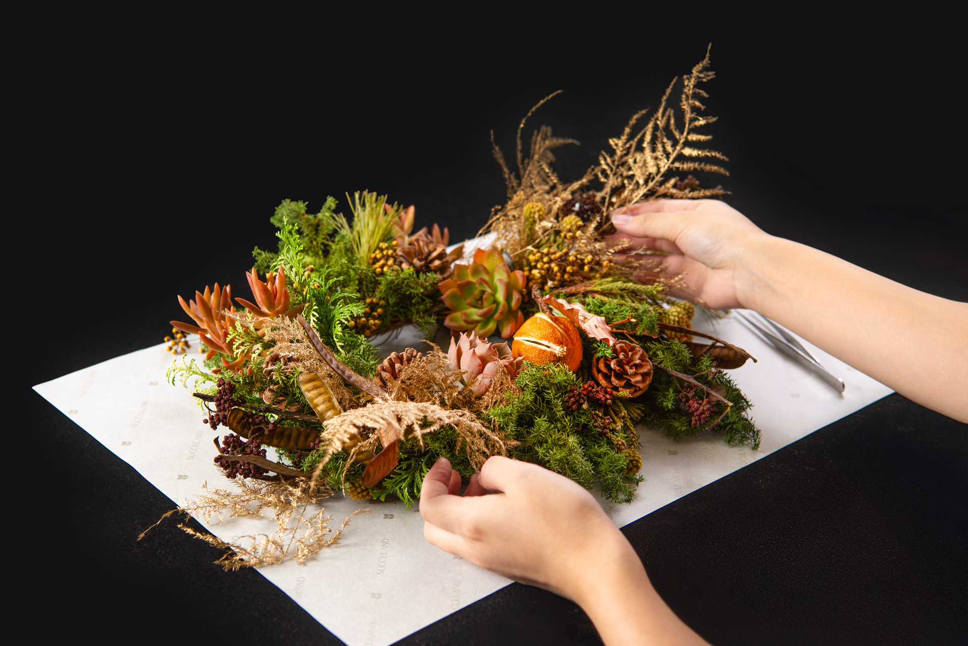 有肉 SUCCULAND 9 週年慶,邀你體驗多肉植藝的魅力 6 2024聖誕節課程雪霧聖誕花圈製作