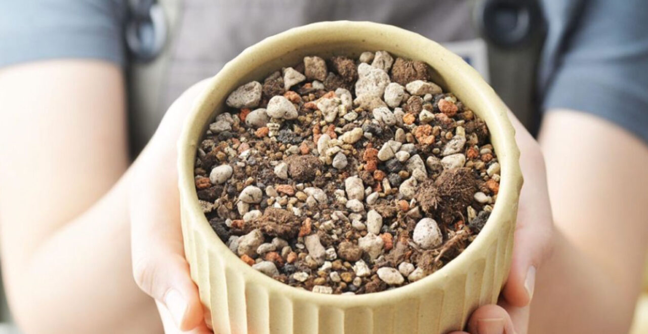 關於有肉 2025poke 11 1