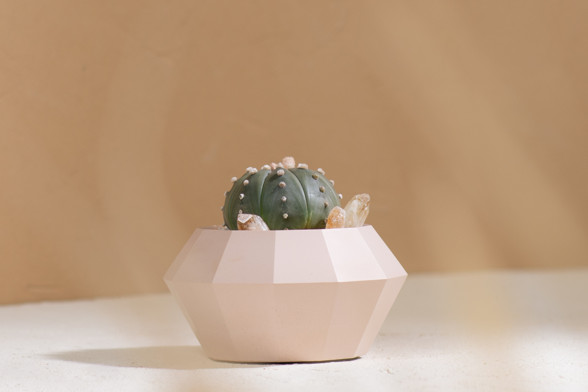 5 款細膩柔和的拿鐵色盆器,調和植物的中性色 3 5 款細膩柔和的拿鐵色盆器,調和植物的中性色 5 款細膩柔和的拿鐵色盆器,調和植物的中性色5