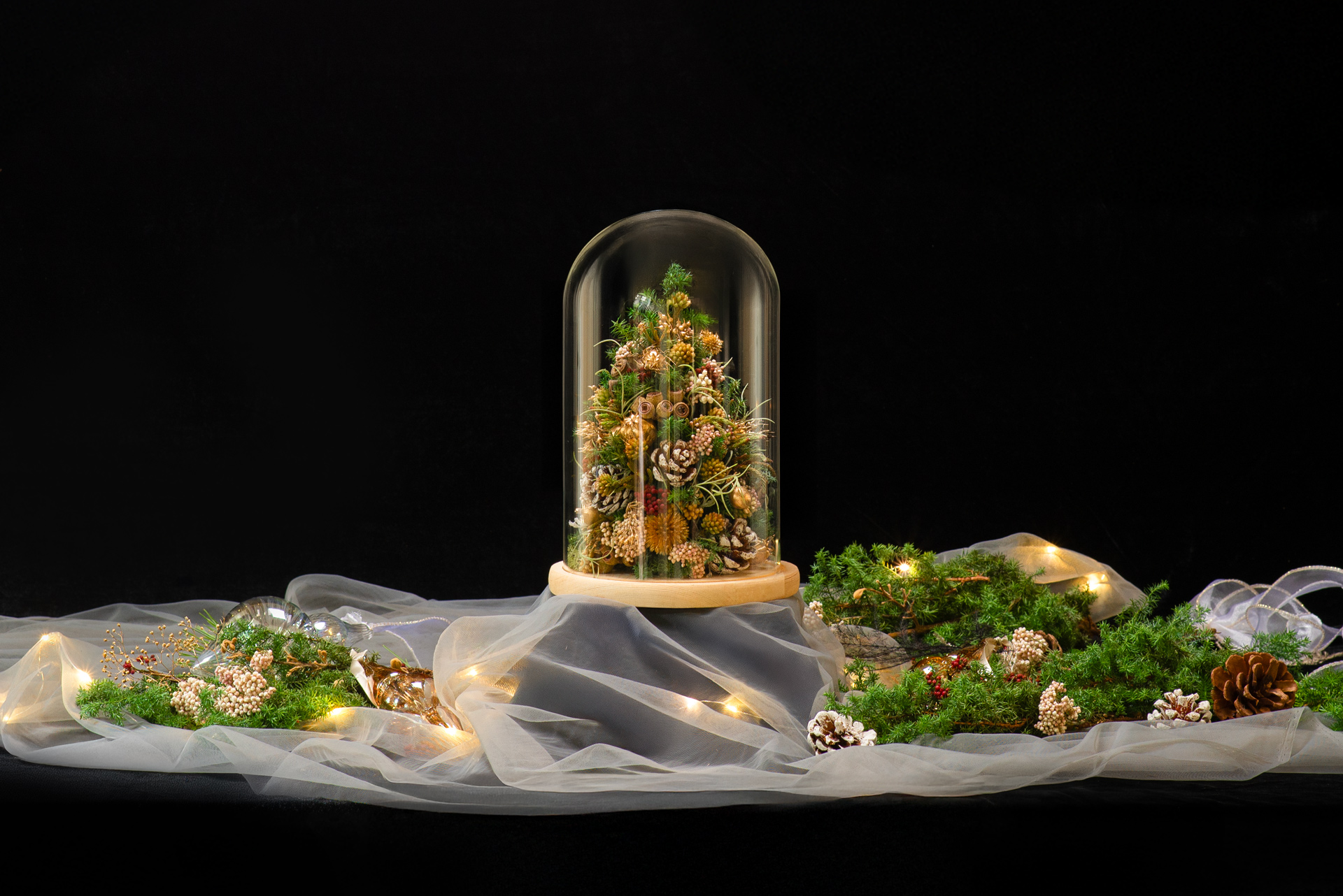 有肉 SUCCULAND 9 週年慶,邀你體驗多肉植藝的魅力 7 2024聖誕商品-鐘罩聖誕樹