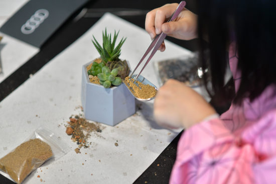 汽車療癒植栽 汽車療癒植栽