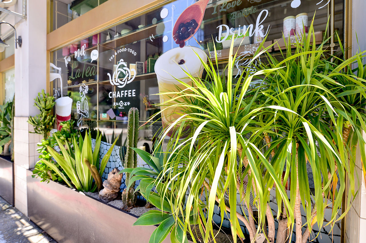 植樹節是什麼?用 2026 年的方法來過節! 9 門面植物設計