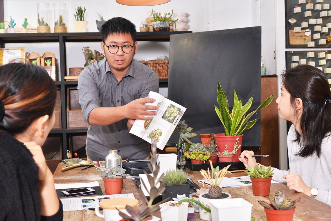 多肉Q&A:多肉植物正確澆水方式大公開 4 多肉Q&A:多肉植物正確澆水方式大公開 DSC 8247