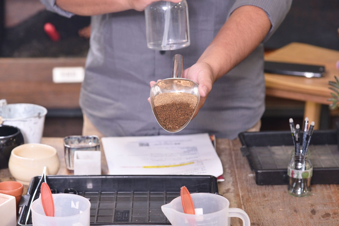 多肉Q&A:多肉植物正確澆水方式大公開 5 多肉Q&A:多肉植物正確澆水方式大公開 DSC 8322