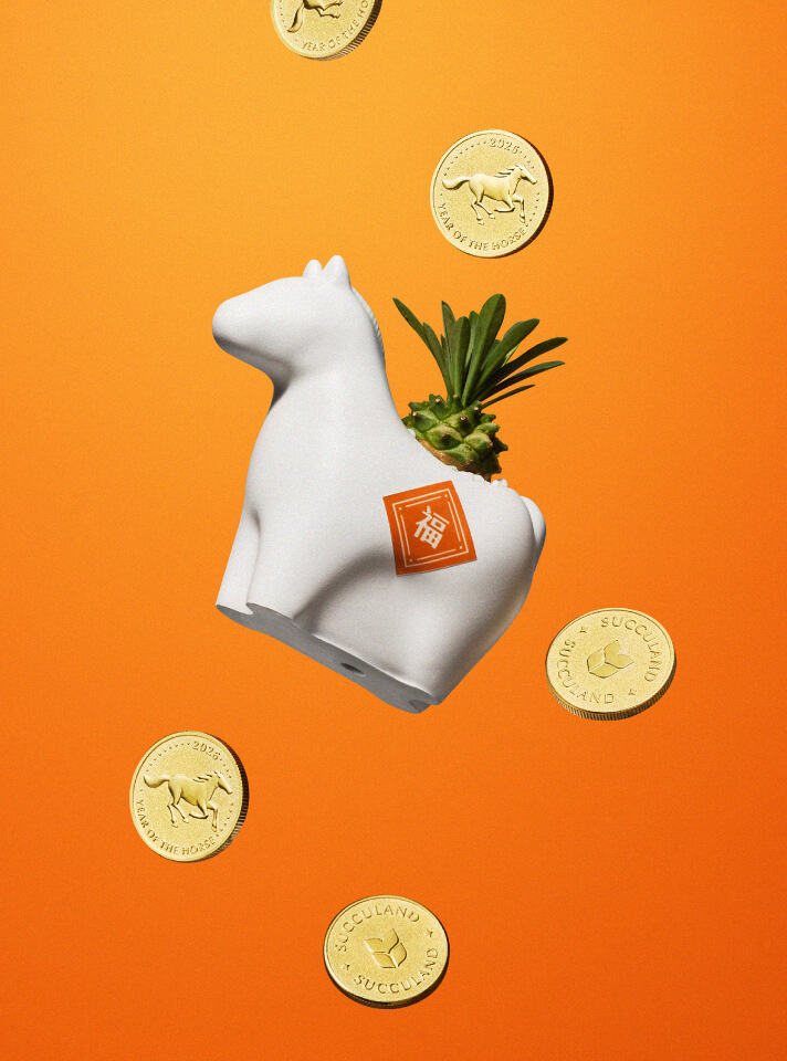 2026 企業春節禮盒推薦|快樂馬力植栽 x 詩特莉餅乾|有肉 SUCCULAND 客製化禮品 15 horse-money