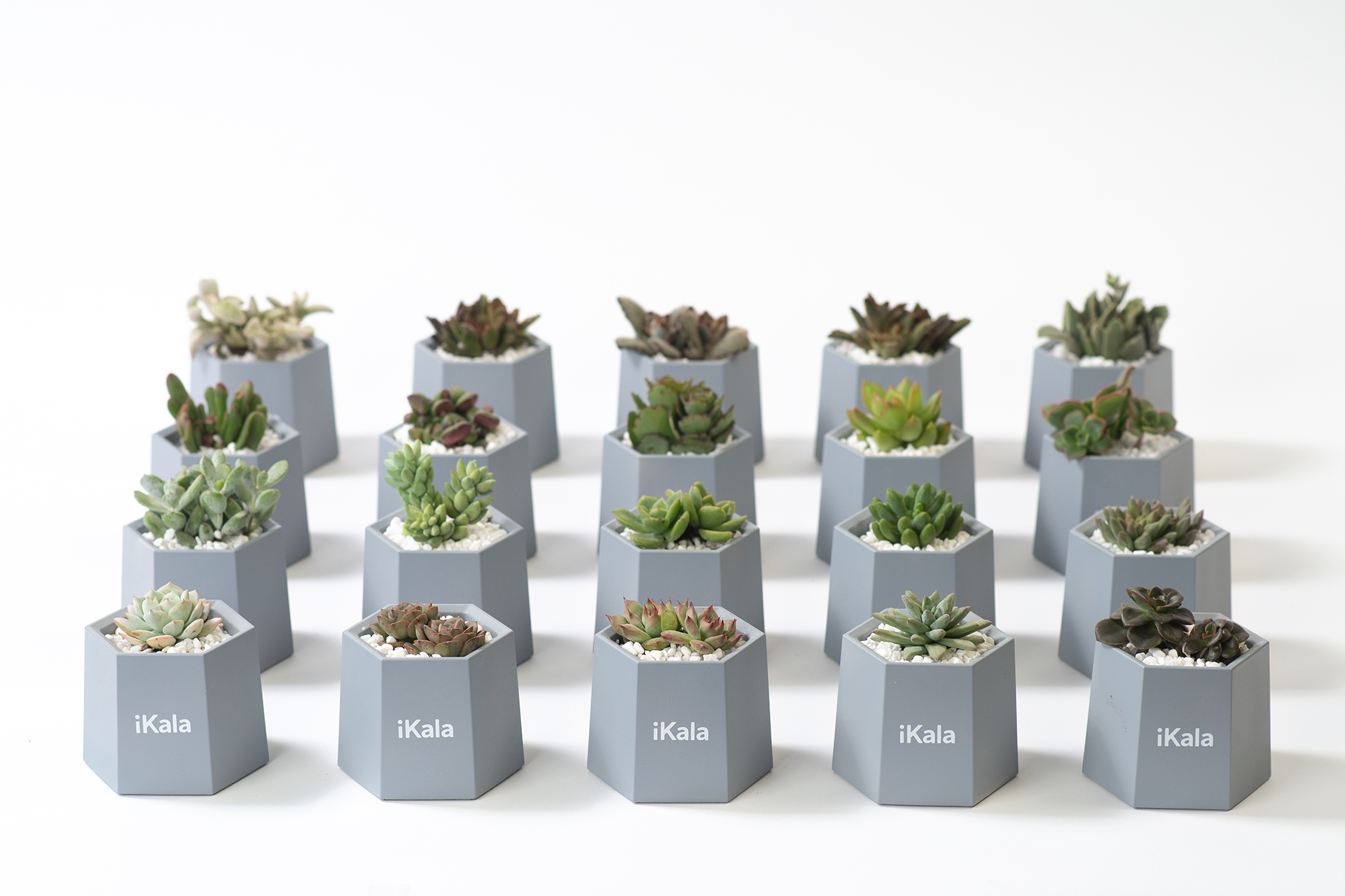 Go Green! 8 個企業禮品常見問題:交期、發票、價格一次全看懂 4 Go Green! 8 個企業禮品常見問題:交期、發票、價格一次全看懂 iKala 企業禮贈品活動用0