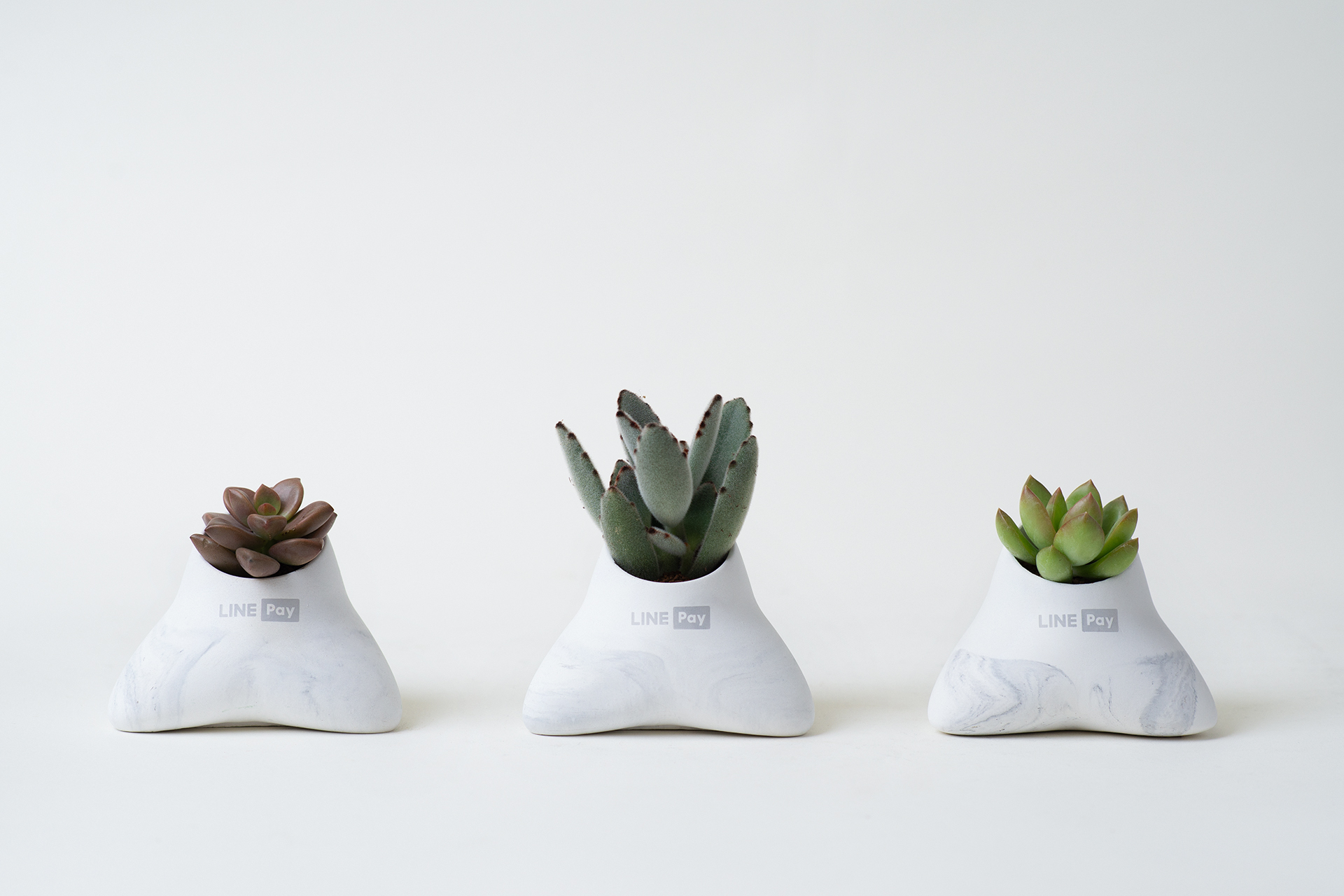 Go Green! 8 個企業禮品常見問題:交期、發票、價格一次全看懂 7 Go Green! 8 個企業禮品常見問題:交期、發票、價格一次全看懂 LINE pay 端午禮品5