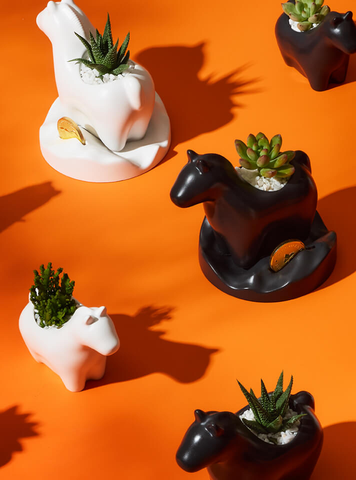 2026 企業春節禮盒推薦|快樂馬力植栽 x 詩特莉餅乾|有肉 SUCCULAND 客製化禮品 14 many-horse-plant