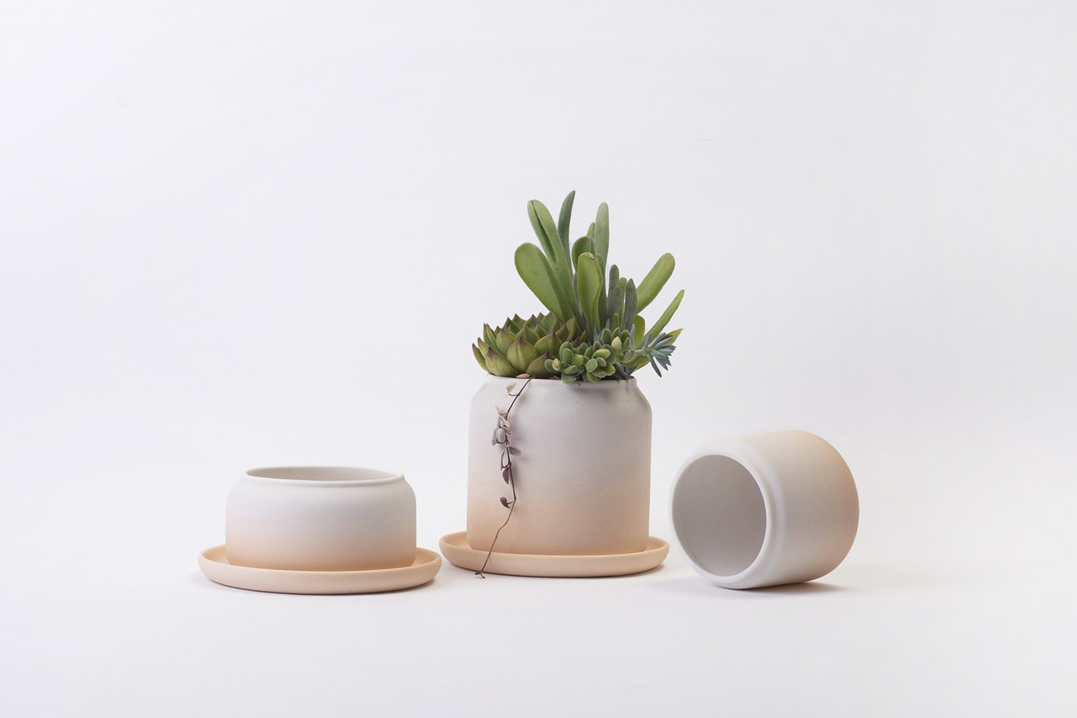 春色呈美 9 春色呈美 of之於漸層系列空盆0 拷貝