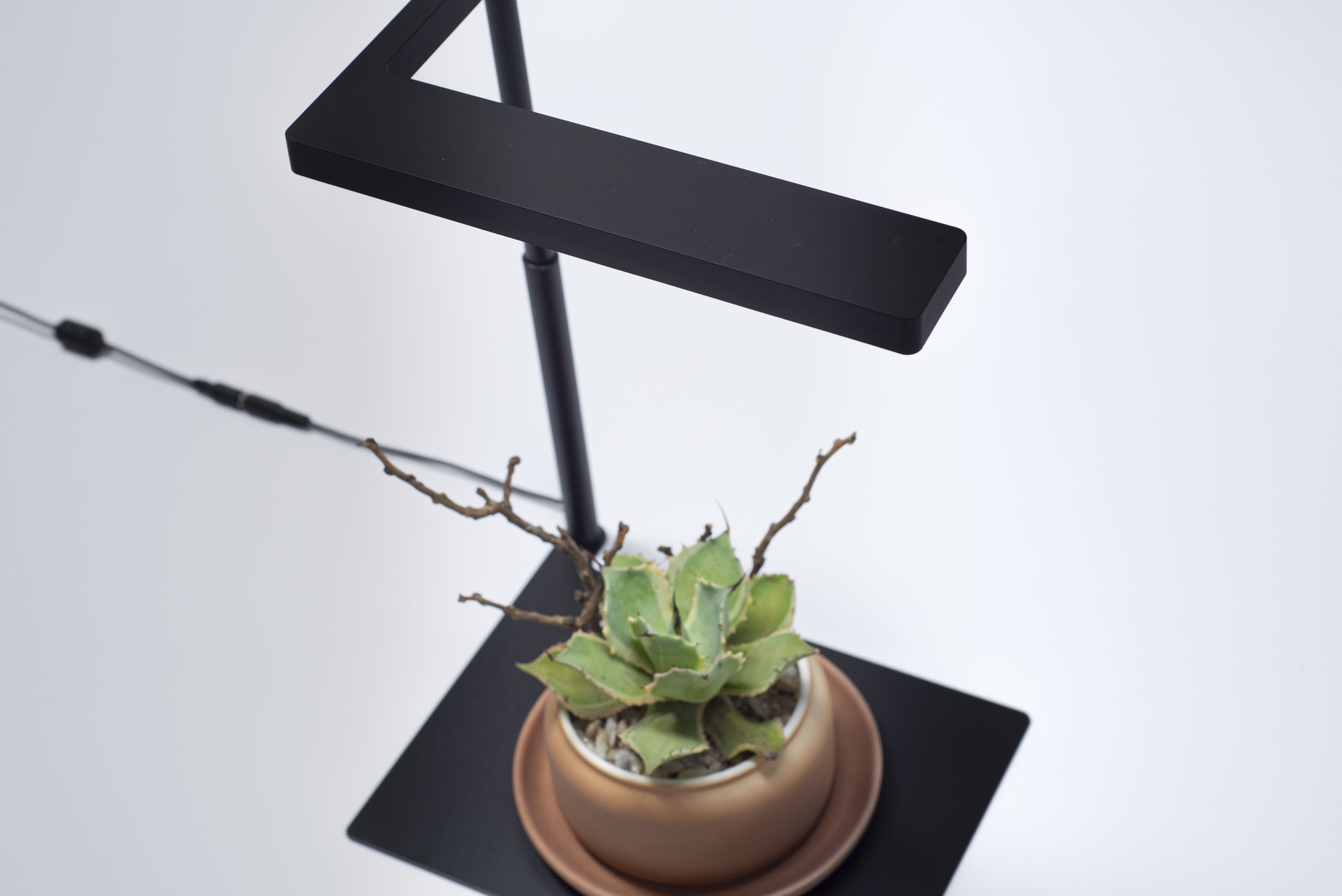 【完整教學】植物照顧終極指南 向黑手指說掰掰 10 【完整教學】植物照顧終極指南 向黑手指說掰掰 ONF Flat 植物燈組(加多肉盆栽)8