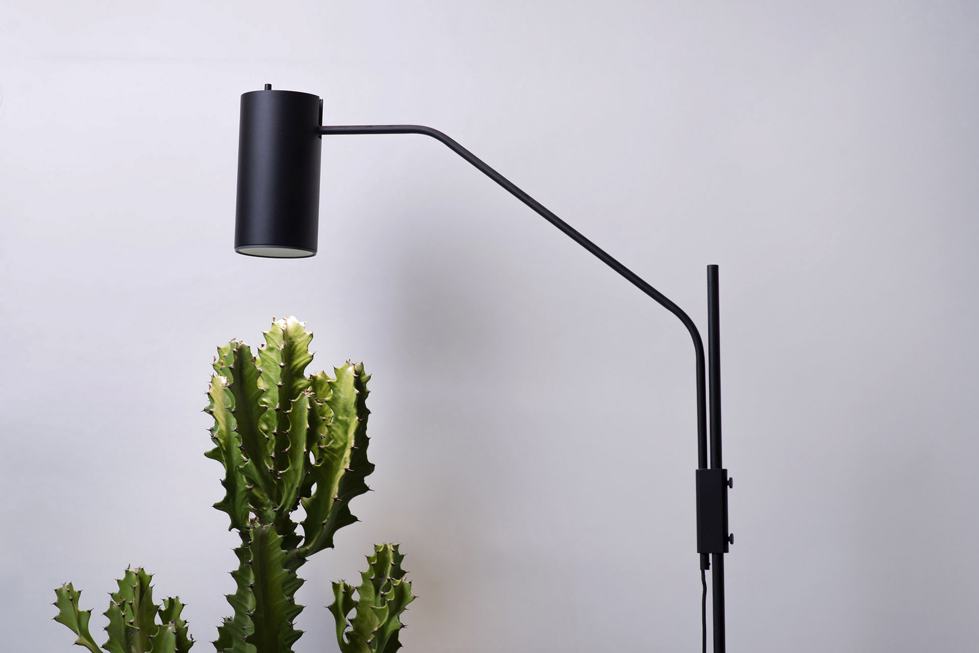 植物燈介紹 植物燈介紹