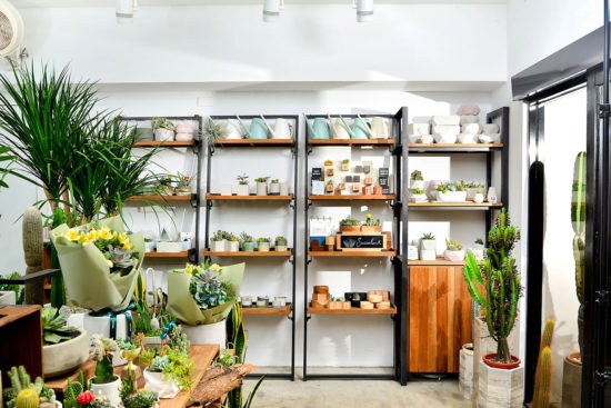 盆器導覽介紹活動 盆器導覽介紹活動