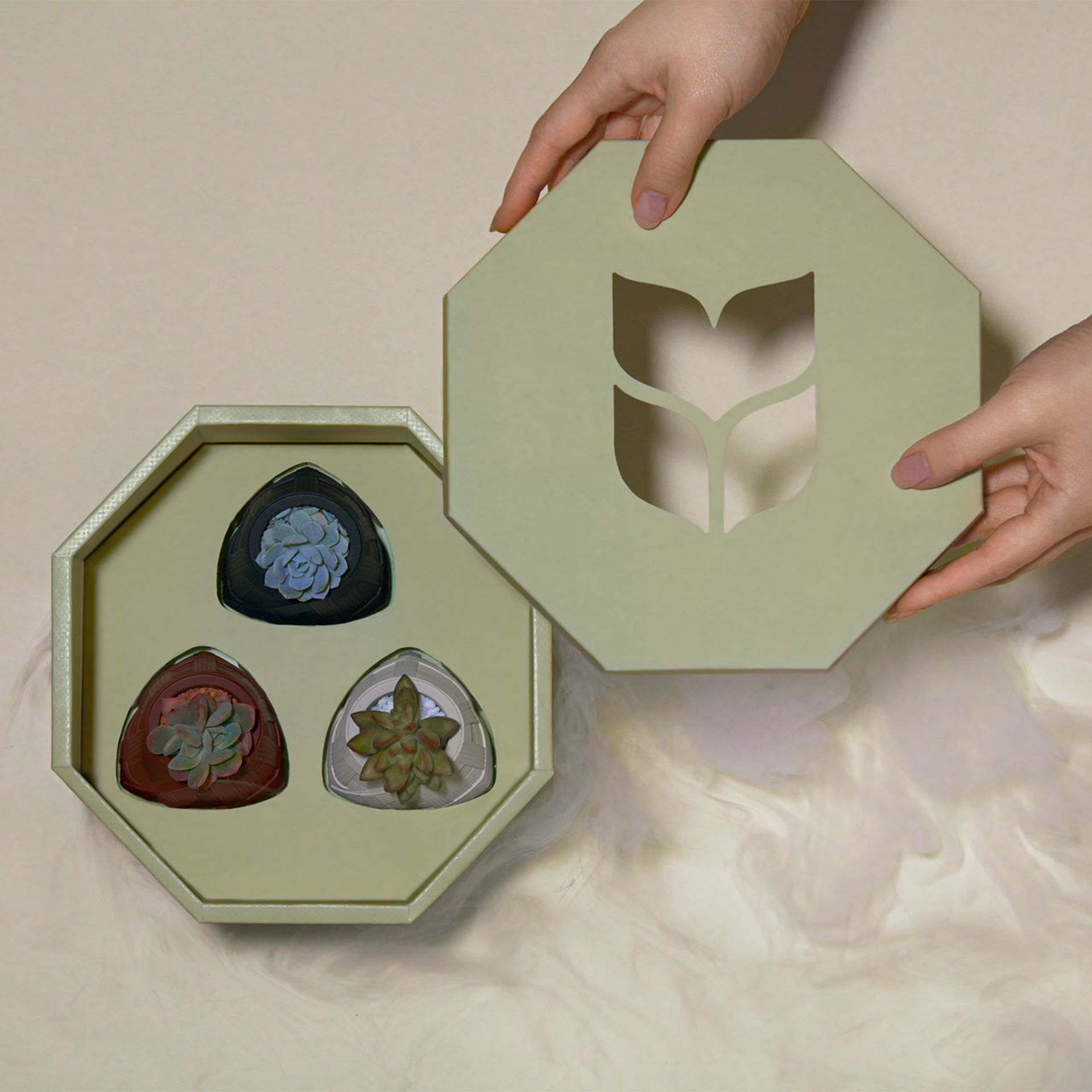 掀開蒸籠造型禮盒 植物粽＆花生糖粽，翻玩端午禮盒！ s2023 有肉端午禮盒 粽久久 李亭香＿綜合台派糕點＿粽子多肉盆栽3 拷貝