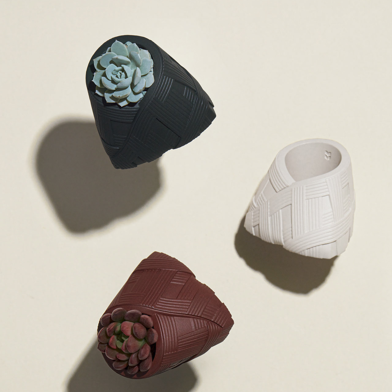 掀開蒸籠造型禮盒 植物粽＆花生糖粽，翻玩端午禮盒！ s2023 有肉端午禮盒 粽久久 李亭香＿綜合台派糕點＿粽子多肉盆栽8 拷貝