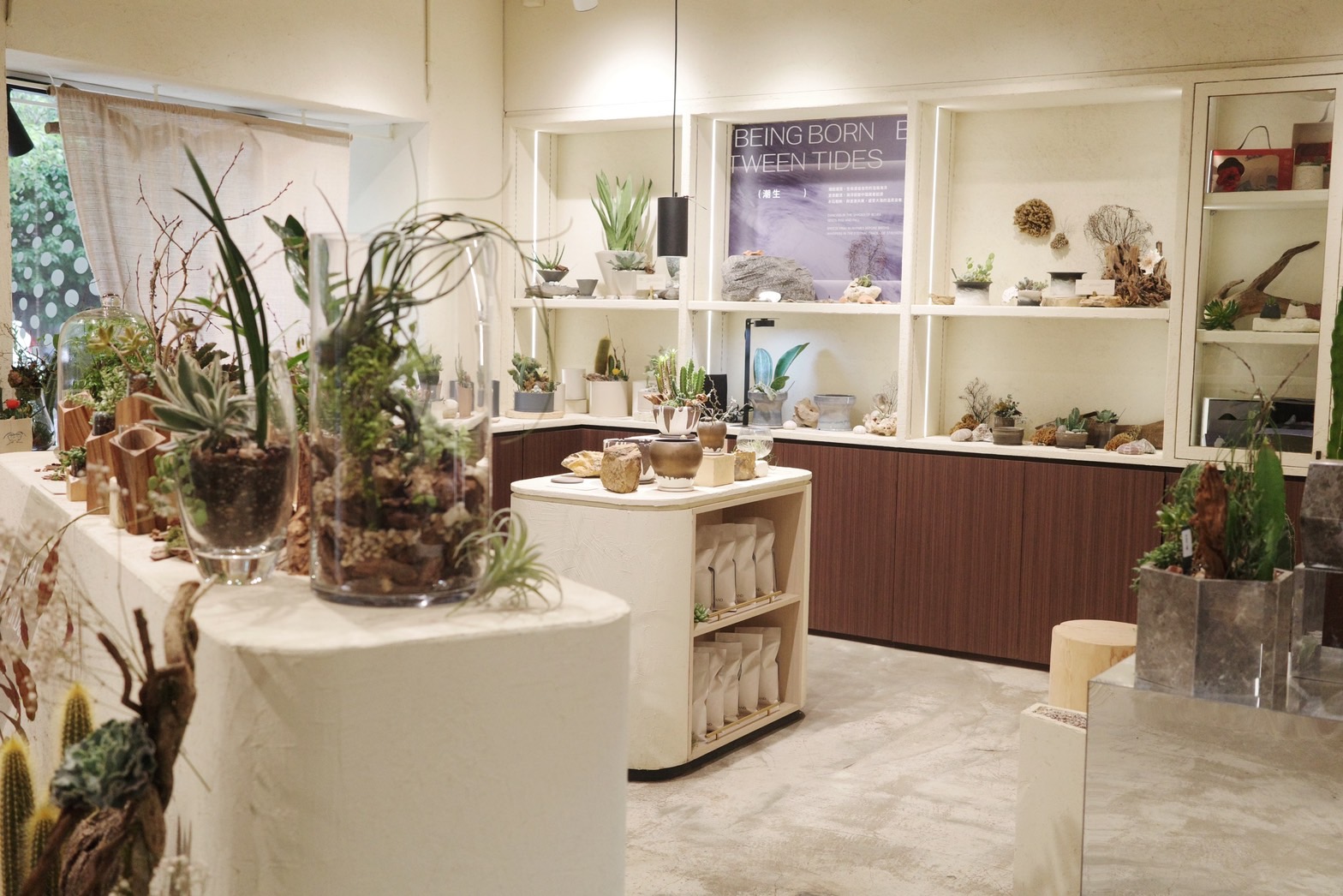 2023 世界地球日活動「愛護地球,從種植開始」 5 地球日活動推薦