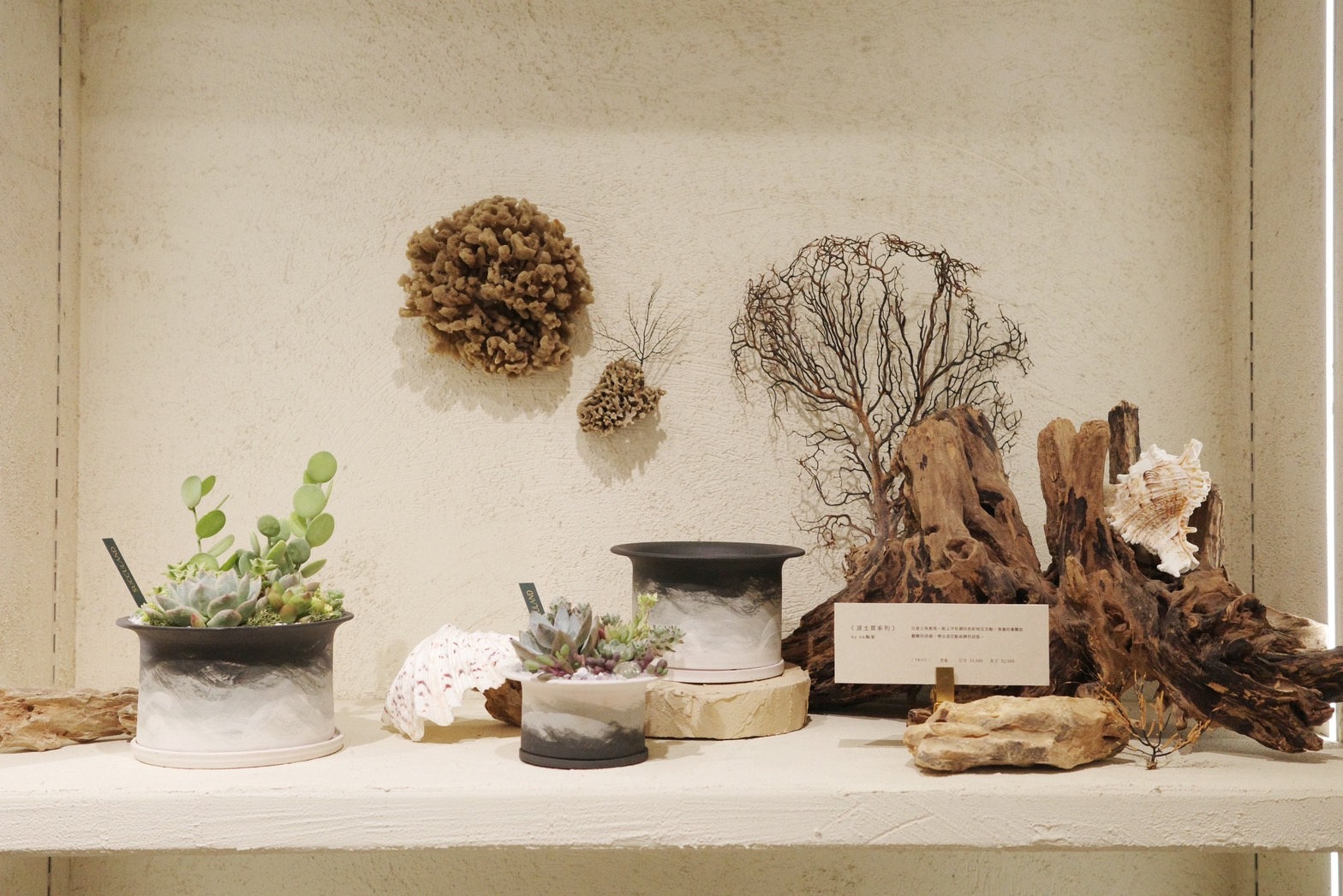 2023 世界地球日活動「愛護地球,從種植開始」 6 地球日盆栽