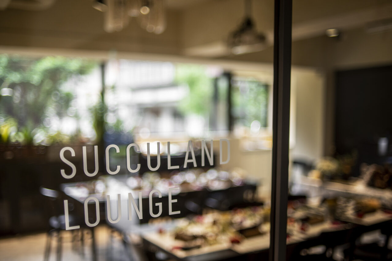 實體門市 SUCCULAND LOUNGE
