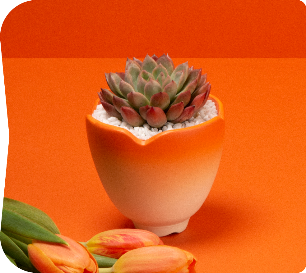 2024 春節禮盒介紹 | 龍舞、花語、烏魚子 圖2 1