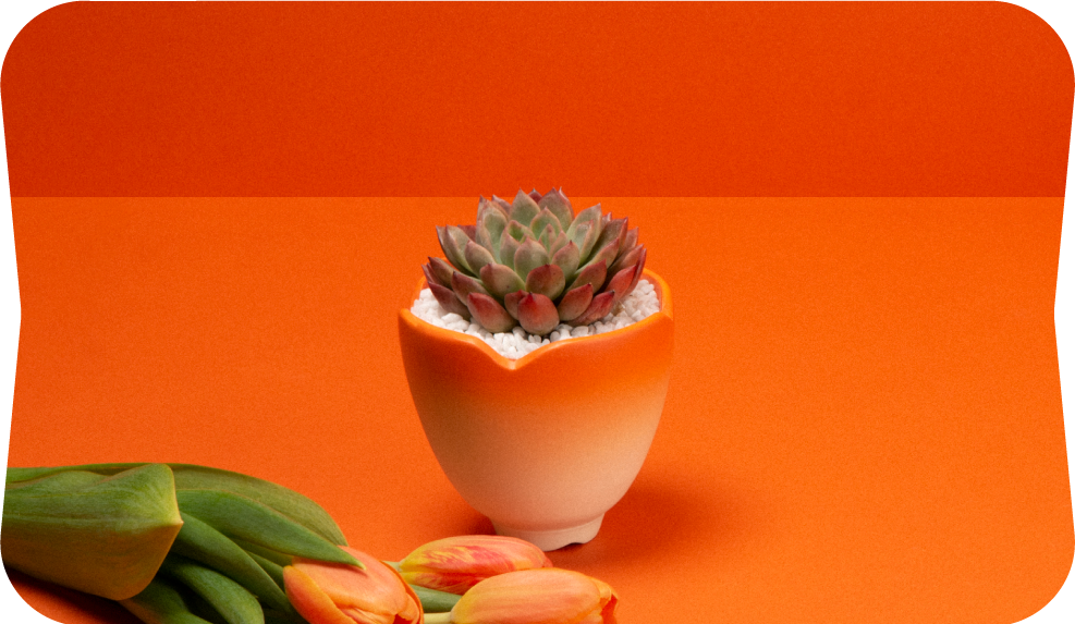 2024 春節禮盒介紹 | 龍舞、花語、烏魚子 圖2