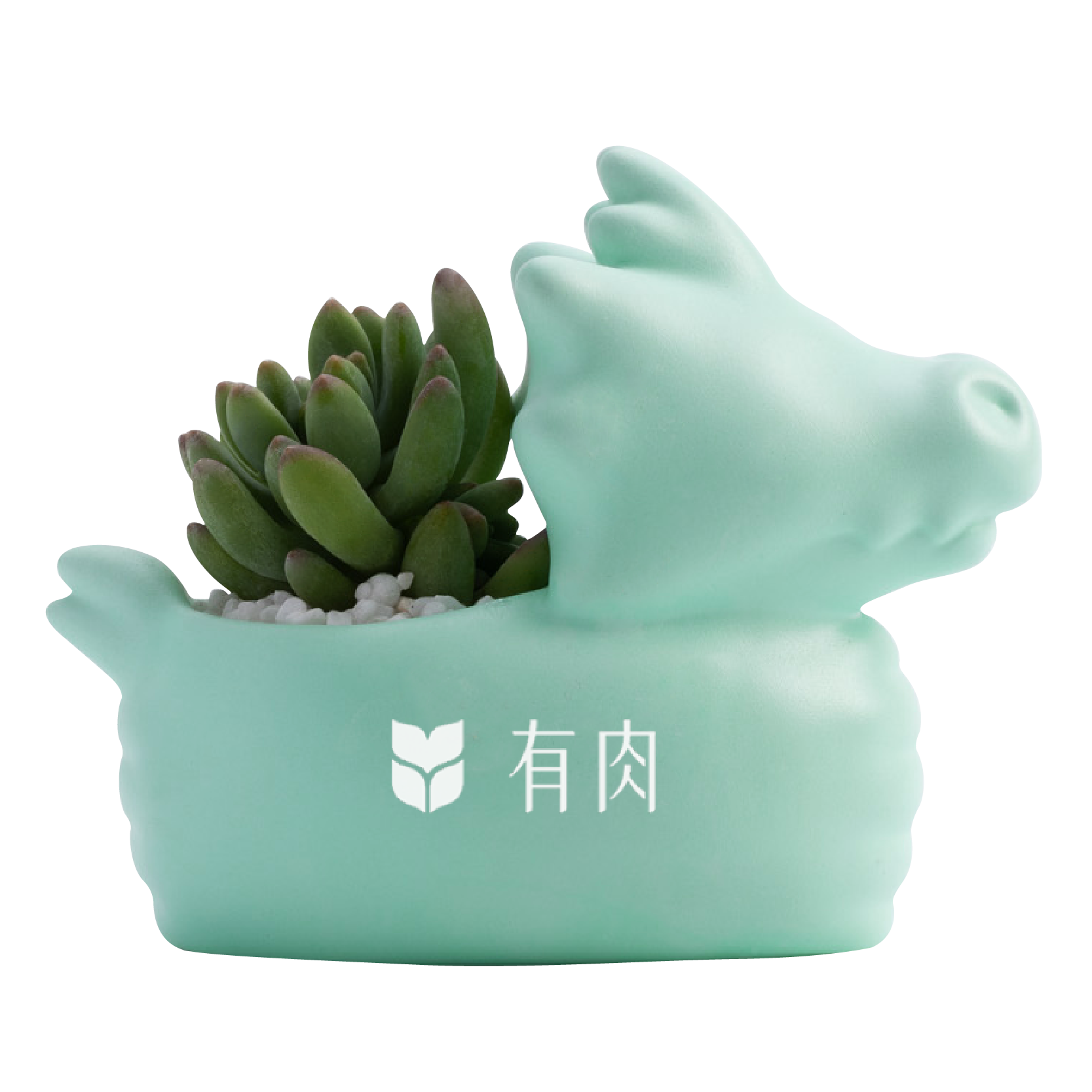 2025 端午禮盒 綠舟金運 客製化服務 盆器