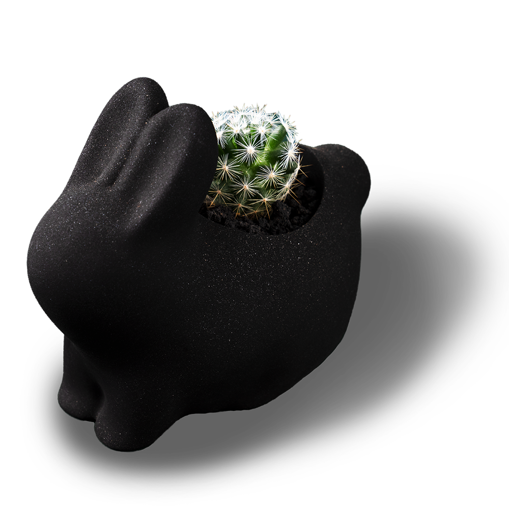 2021 年中秋植物禮盒 19 2021 年中秋植物禮盒 有肉介紹 27