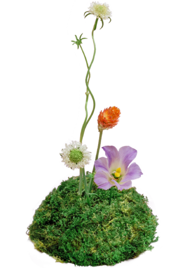 2024 中秋禮盒 品味幸福月相 有肉 中秋網站 11 1