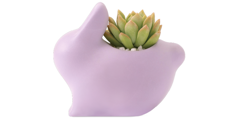 2024 中秋禮盒 品味幸福月相 有肉 中秋網站 21 2