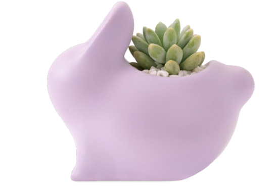 2024 中秋禮盒 品味幸福月相 有肉 中秋網站 22 2