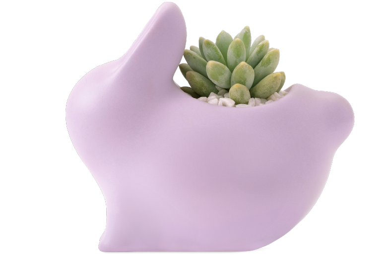 2024 中秋禮盒 品味幸福月相 有肉 中秋網站 22 2