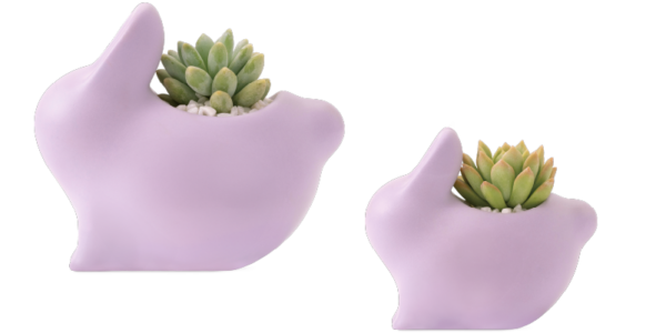 2024 中秋禮盒 品味幸福月相 有肉 中秋網站 8 2