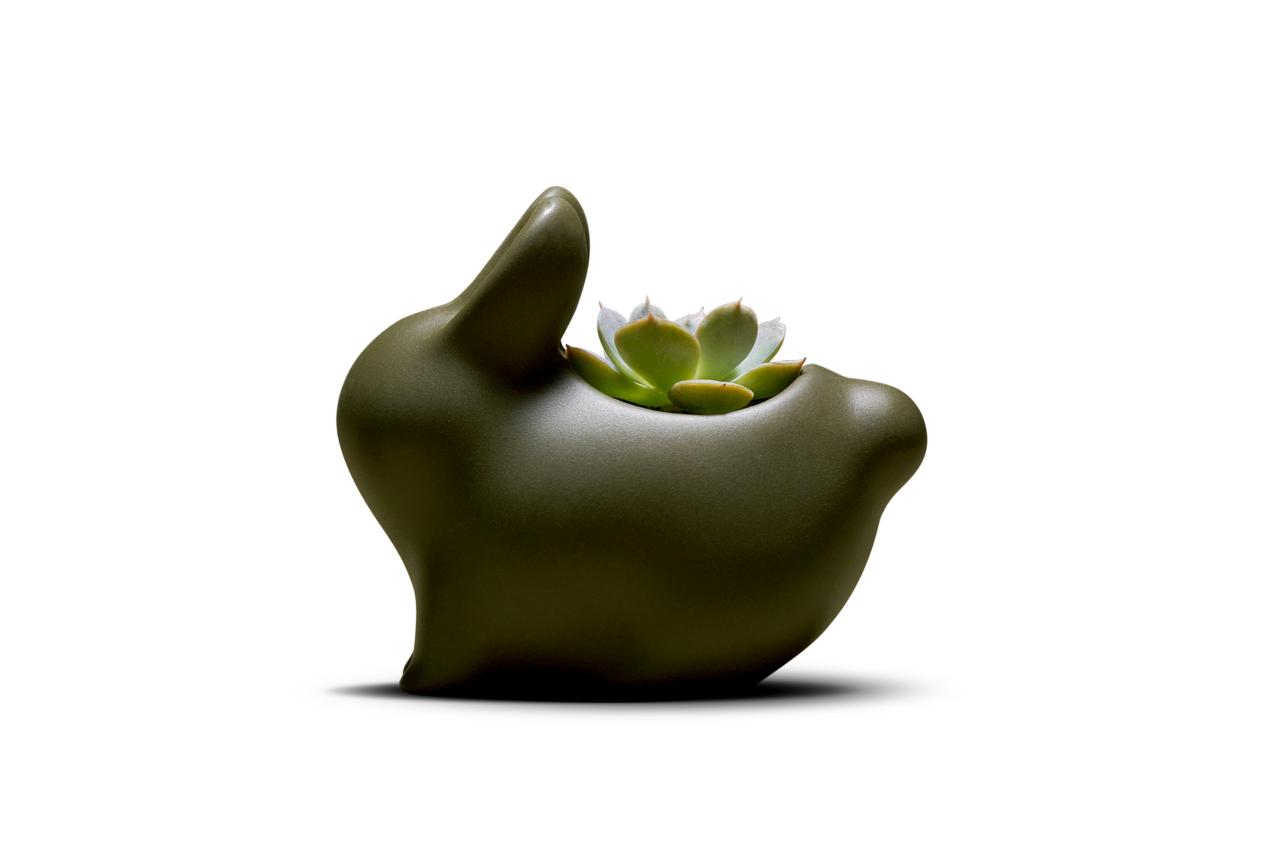 2023 中秋禮盒介紹 | 月兔與森林的交會 森林兔 去背part3