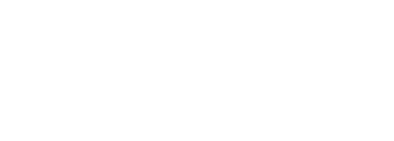 2025 端午禮盒 綠舟金運 標準字 白