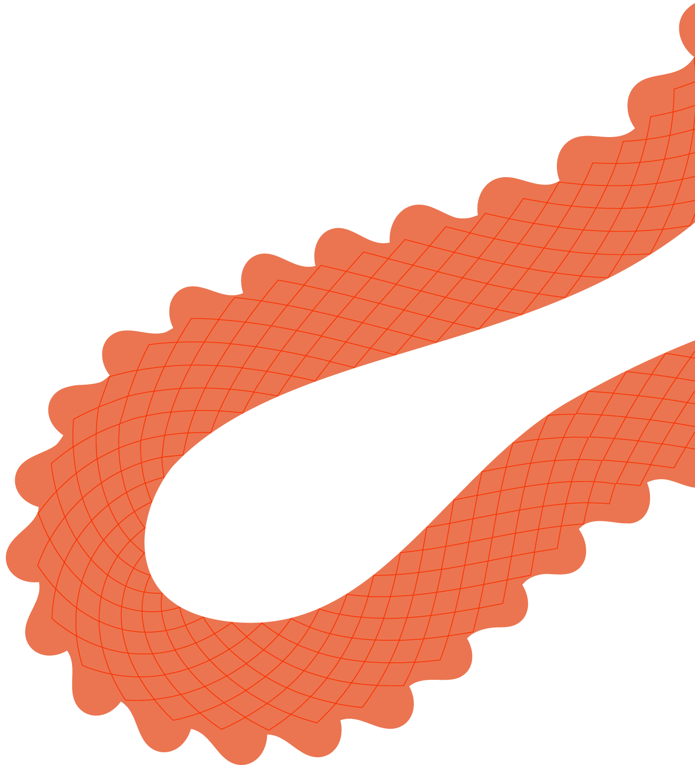 2024 春節禮盒介紹 | 龍舞、花語、烏魚子 素材02 2