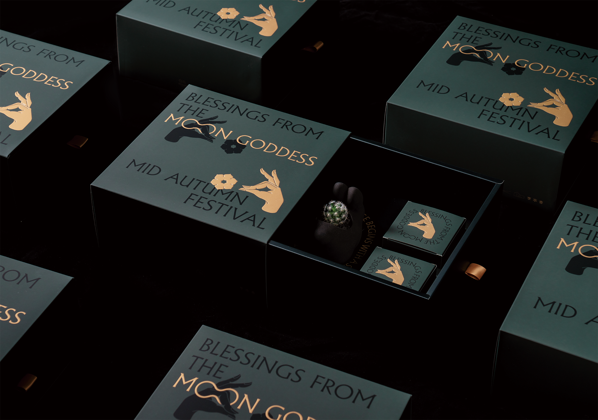 2021 年中秋植物禮盒 2 2021 年中秋植物禮盒 聯名禮盒介紹